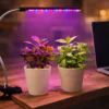 16594724019387_1ae5566c2a Світлодіодна фітолампа Grow Light для вирощування рослин Повний спектр 1 голова 1200 лм Таймер 3/9/12 годин