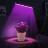 22611523720015_eb45305f0c Світлодіодна фітолампа Grow Light для вирощування рослин Повний спектр 1 голова 1200 лм Таймер 3/9/12 годин