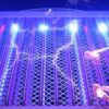 Знищувач комах Mosquito Killer Hk-1217 лампа-пастка 3 Вт USB екологічний для використання в приміщеннях